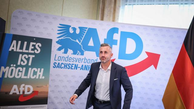 Landtagswahl Sachsen-Anhalt: AfD-Wahlkampagne: Viele Motive KI-generiert
