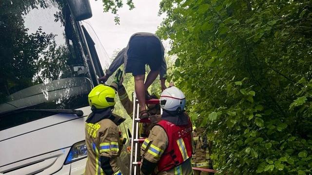 Missliche Lage: Bus bleibt in Wald stecken – Kinder müssen mit Taxis fahren