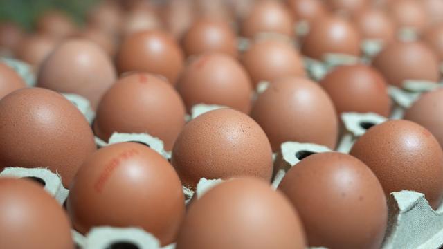 Man Sentenced to Two Years for Defrauding German Egg Farm
