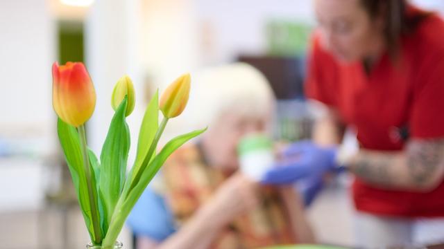 Gesundheitskosten: Pflegereform: Ausgabenbremsen und Aufschlag für Kinderlose