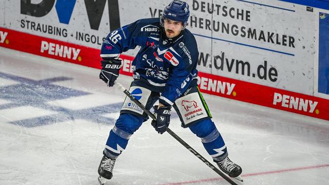 Deutsche Eishockey Liga: Straubing Tigers verlängern Verträge mit zwei Stürmern