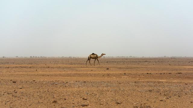 Gestrandet in der Sahara: 49 Menschen verdursten nach Lkw-Panne im Niger