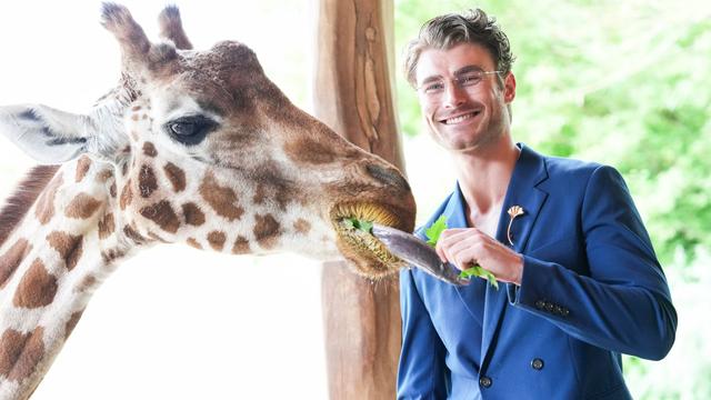 Tiere: Begegnung auf Augenhöhe: Model Linus trifft Giraffe Linus