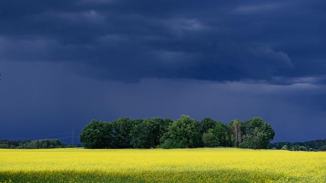Wetter: Gewitter und Schauer in Sachsen erwartet