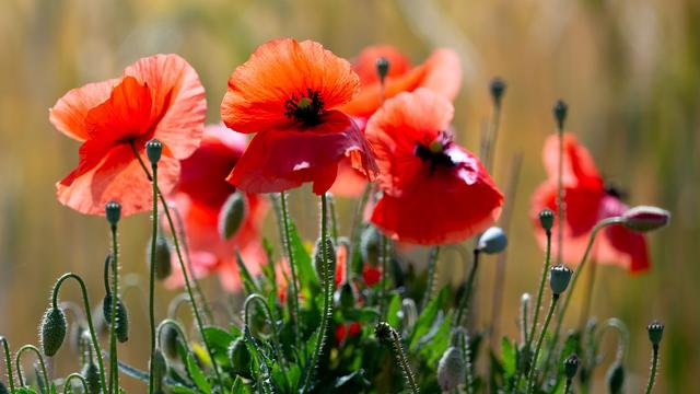 Weather forecast: Sunshine scarce this weekend in Bavaria