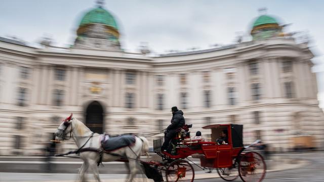 Unfälle: Pferde scheuten: Fiaker-Unfall mit Deutschen in Wien