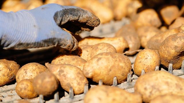 Offizieller Saisonstart: Rheinland-Pfalz gräbt den Sommer aus