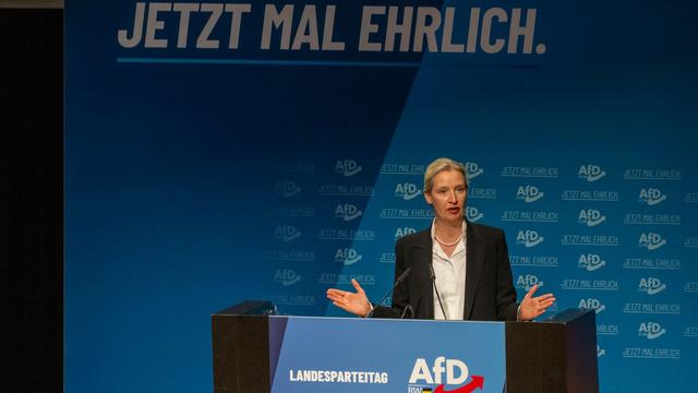 Delegiertentreffen: Weidel nennt Merz erneut «Lügenkanzler»