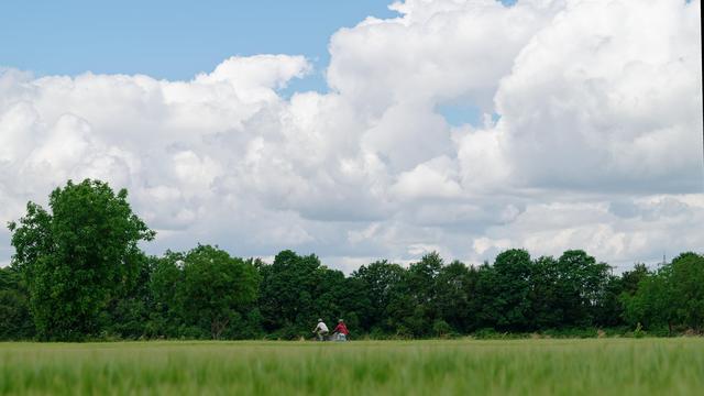Wetter: Wann sich heute die Sonne blicken lässt