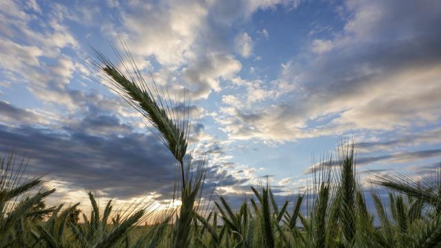 Temperatursturz: Erst Sommerwetter, dann die kalte Dusche