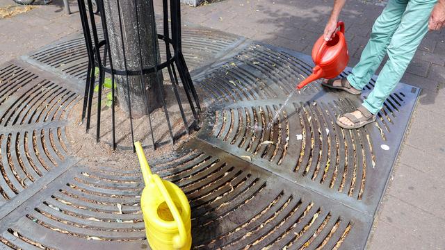 Zukunftsfähige Städte: Vier Städte erhalten Förderung für gr
