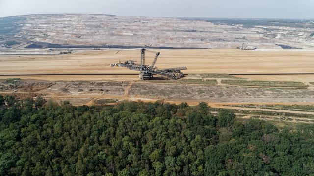 Hambacher Forst: «Hambi» soll Urwald werden