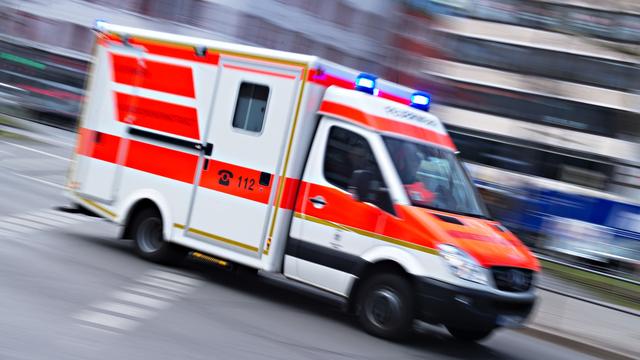 Nördlich von München: Zwei Busse stoßen zusammen -