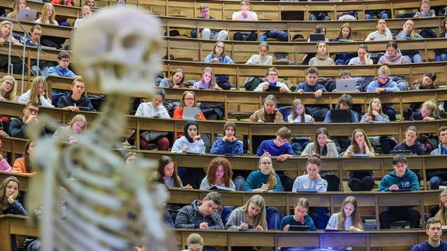Landarztquote: 40 neue Landarzt-Studienplätze in Sachsen ver