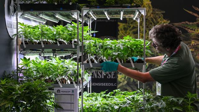Messe: Cannabis-Messe mit Meditationsmusik und Gra