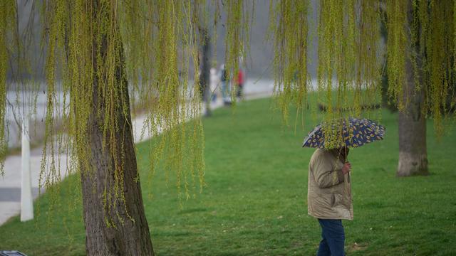 Wetteraussichten: Erst Regen und Wolken und zum Wochenende Sonne