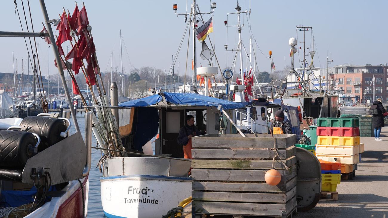 Landesfischereitag: Fischerei unter Druck – Fangmengen sinken, Kosten steigen