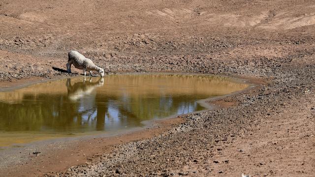 Klimaphänomen zurück: US-Wetterbehörde NOAA: El Niño ist da