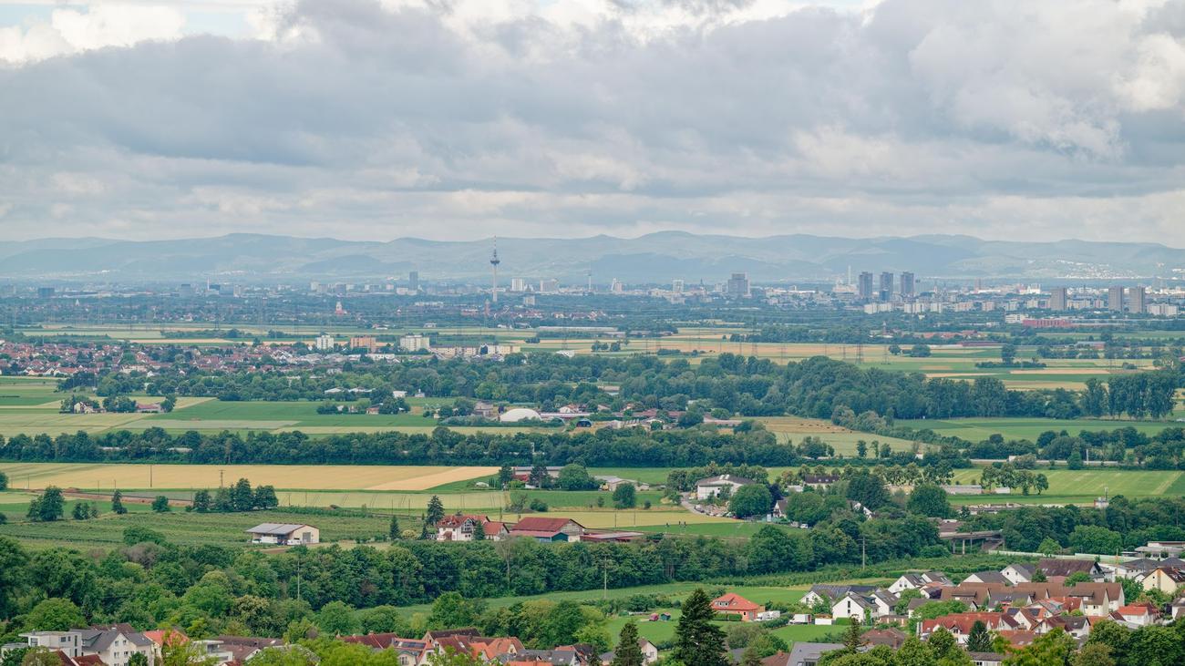 Wetterbericht: Auf Regenjackentag folgt wärmeres und trockeneres Wochenende