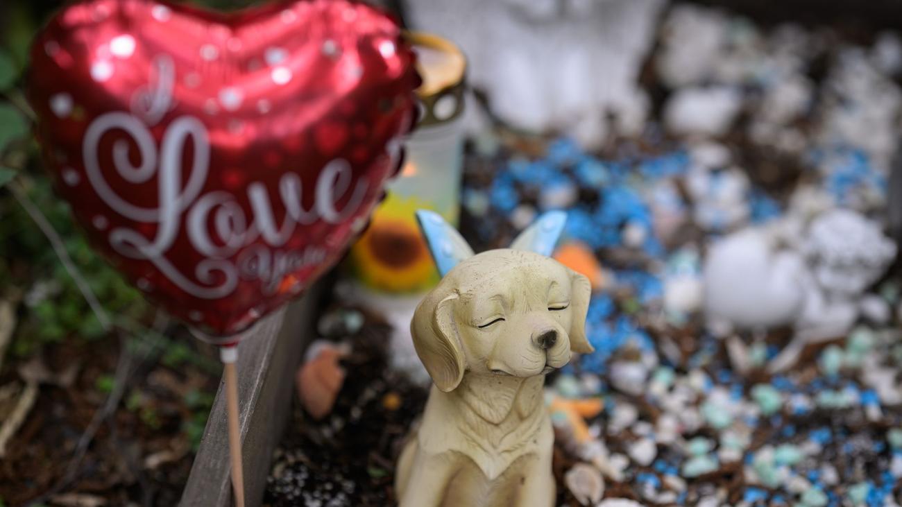 Tierbestattungen: Picknick am Grab - Wie Hessen um Haustiere trauern