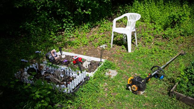 Wenn das Haustier stirbt: So dürfen Haustiere in Hessen best