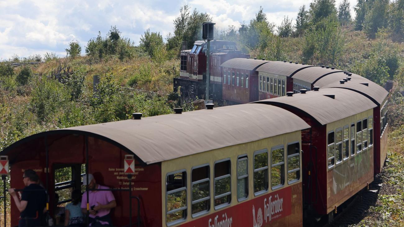Bauarbeiten in Wernigerode: Sperrung bei Harzer Schmalspurbahnen - was zu beachten ist