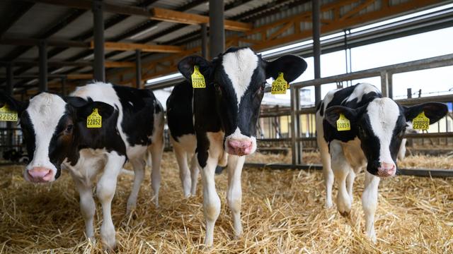 Landwirtschaft: Tiere und Technik zum Anfassen – Bauern öffnen ihre Hoftore