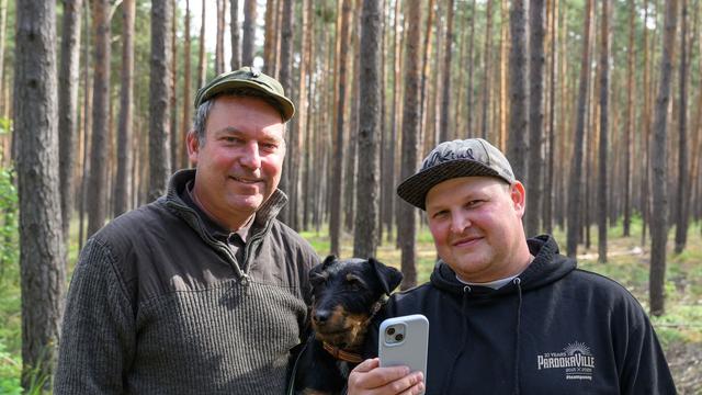 Wildtiere: «Unvergesslich» - Wenn ein Elch an der Autobahn s