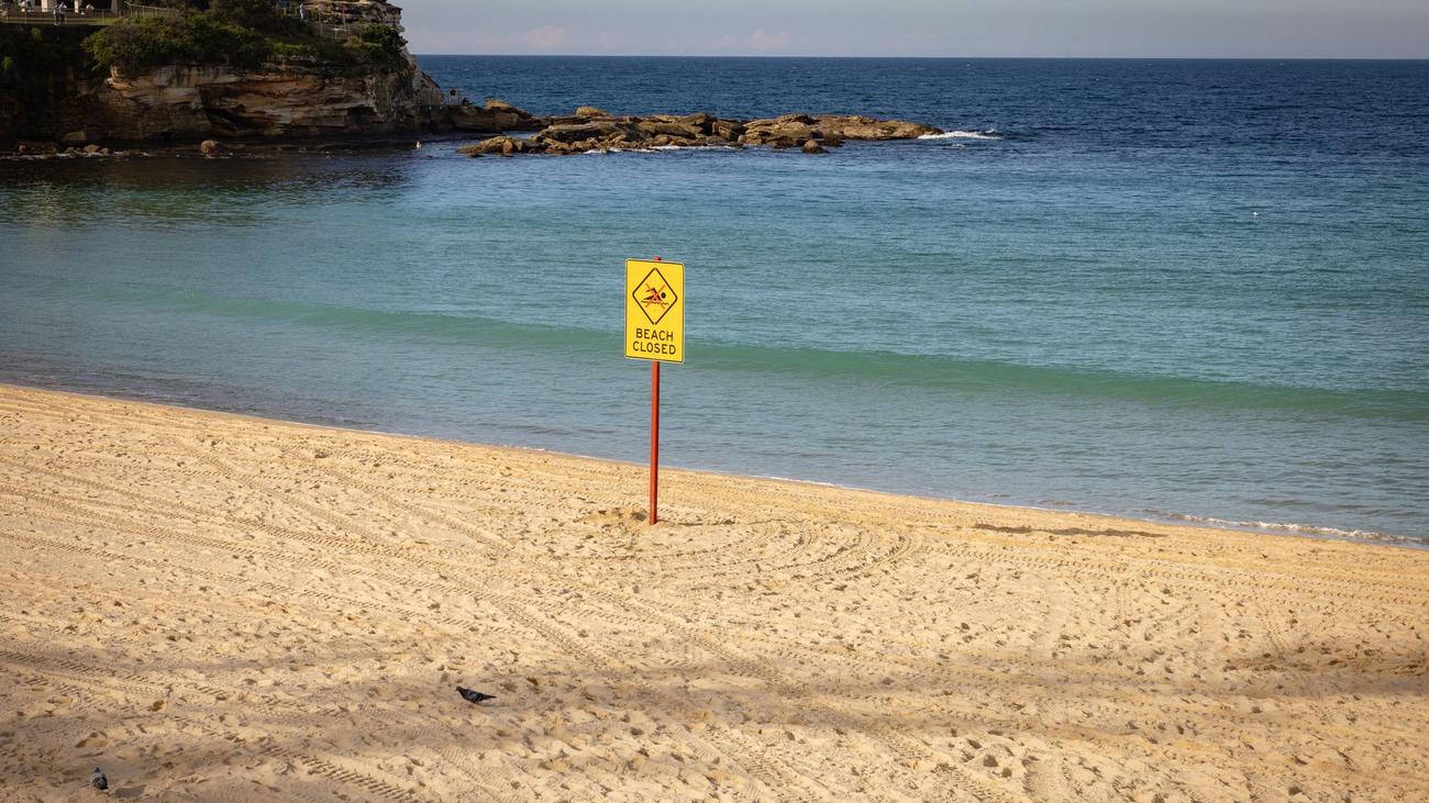 Beim Schwimmen in Strandnähe: Frau in Sydney bei Hai-Angriff lebensgefährlich verletzt