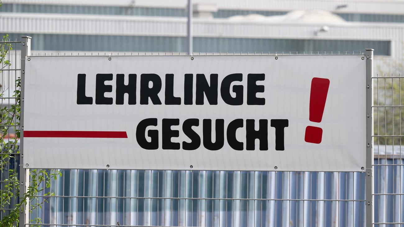 Ausbildung im Handwerk: Sachsen stärkt Ausbildung und Meisterqualifikation