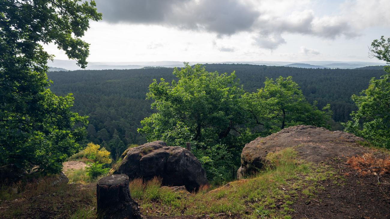 Wetter: Wolken, Sonne und Regen - ab Dienstag wärmer