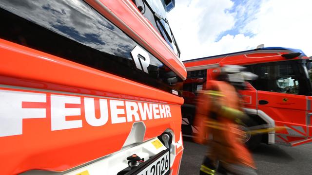 Feuer: Imker setzt bei Reparatur eines Bienenstocks Stall in Brand
