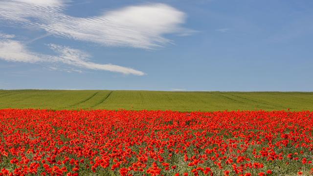 Baden-Württemberg braces for heatwave with temperatures potentially reaching 35°C