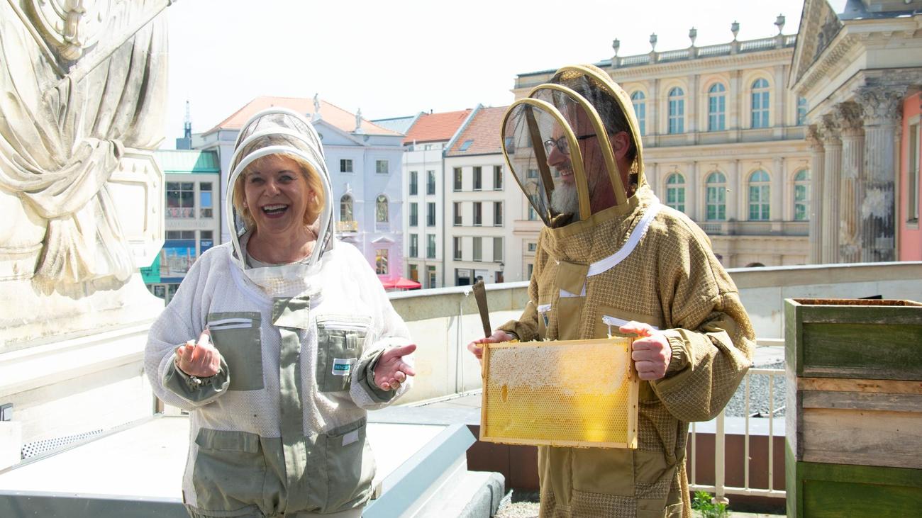 Bienen auf dem Landtagsdach: Erster Honig des Jahres von Brandenburger Parlamentsbienen