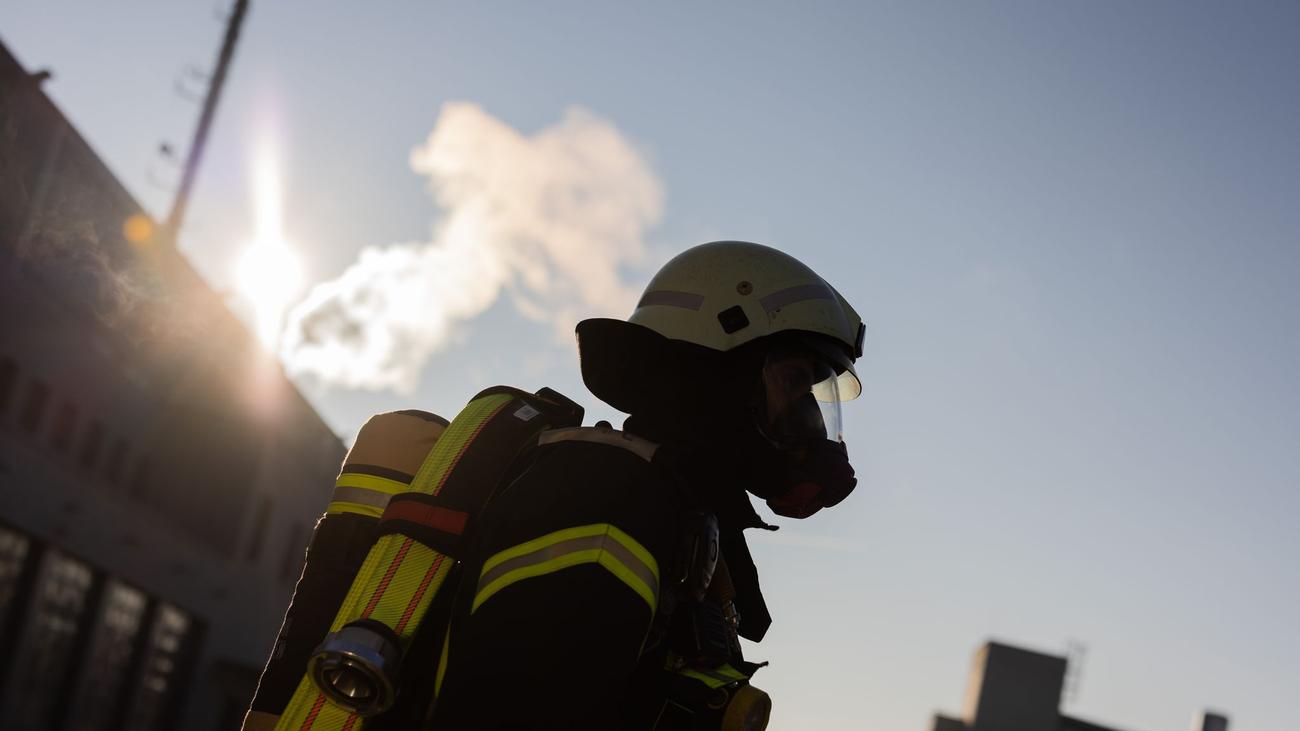 Aufwendiger Einsatz: Feuerwehr rettet zwei Katzen aus brennendem Dachstuhl