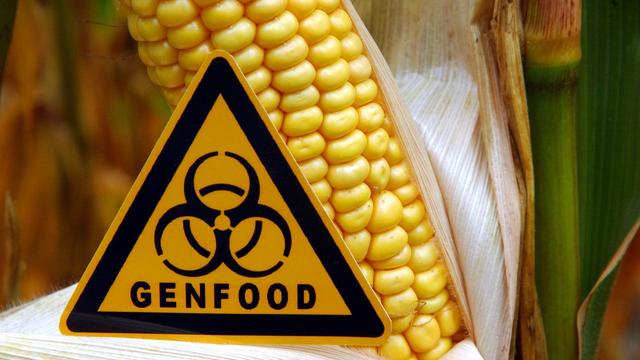 Agrar: Gentechnik im Supermarkt: EU schwächt Regeln ab