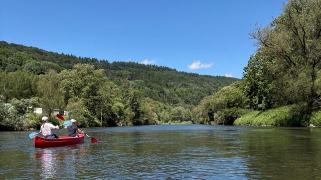 Heatwave: How to stay cool in Rhineland-Pfalz