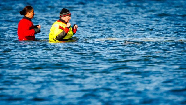 Whale rescuers to be honored with barbecue, Peta urges vegan menu