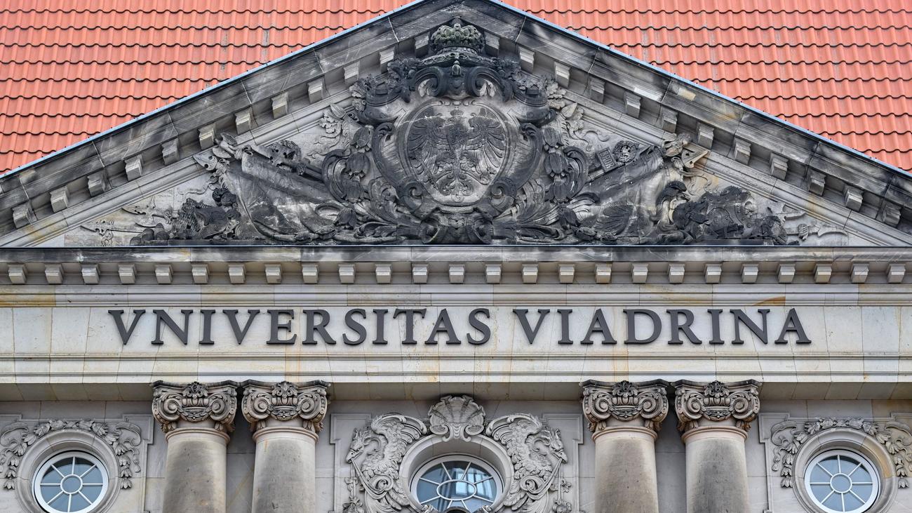 An der Viadrina-Universität: Wem noch vertrauen? Fake News Festival steigt in Frankfurt