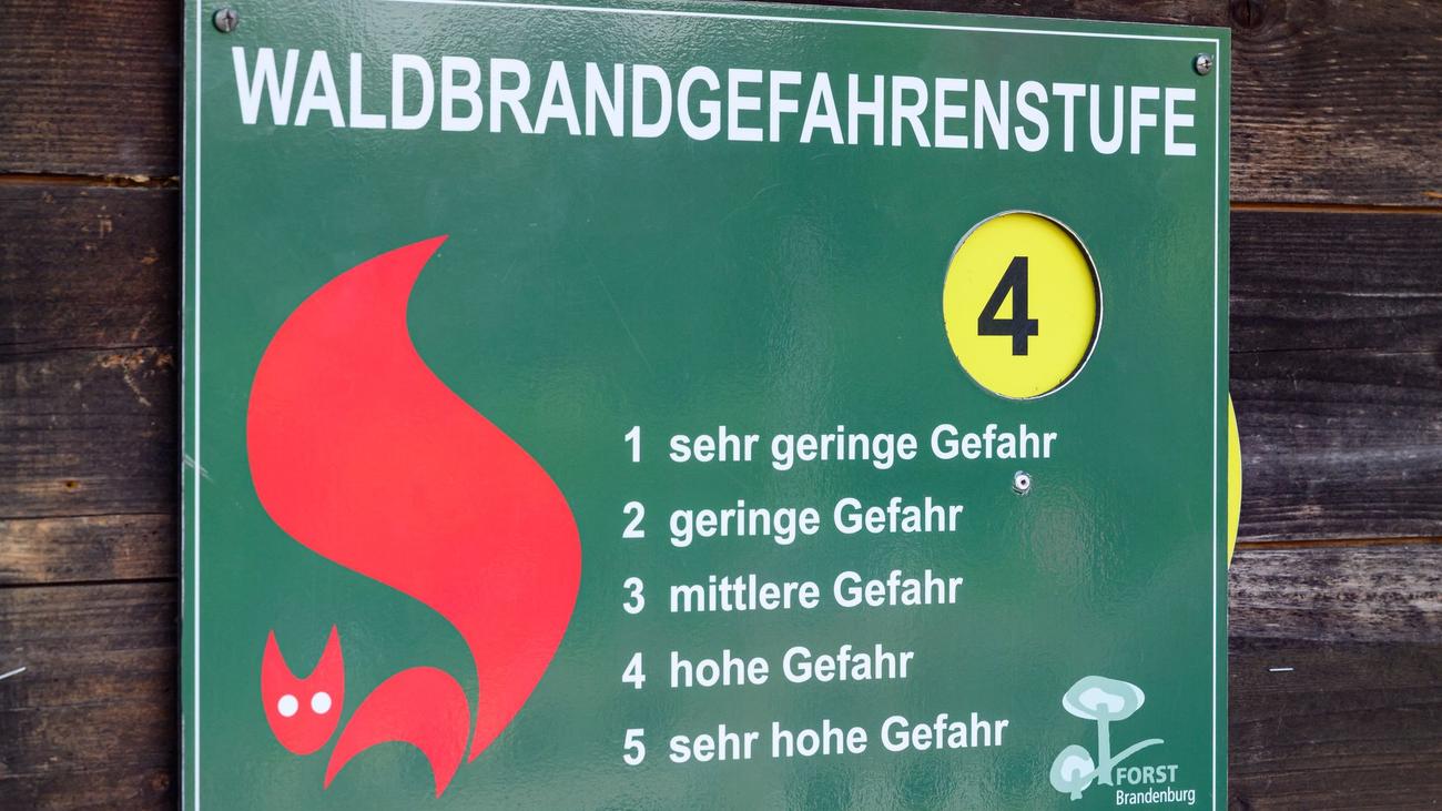 Hitzewelle: Thüringenforst mahnt zu Vorsicht im Wald - Hohe Brandgefahr