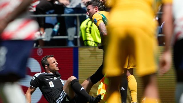 Cramps Mar Referee Felix Zwayer's World Cup Debut Despite Strong Performance