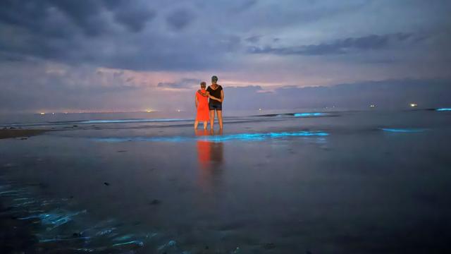 Storms hit northwest Germany: Children's camp evacuated, bioluminescence seen on coast
