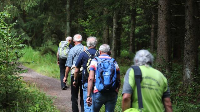 Freizeit: Wanderlust in Bad Tabarz – 13 Touren locken 800 Teilnehmer