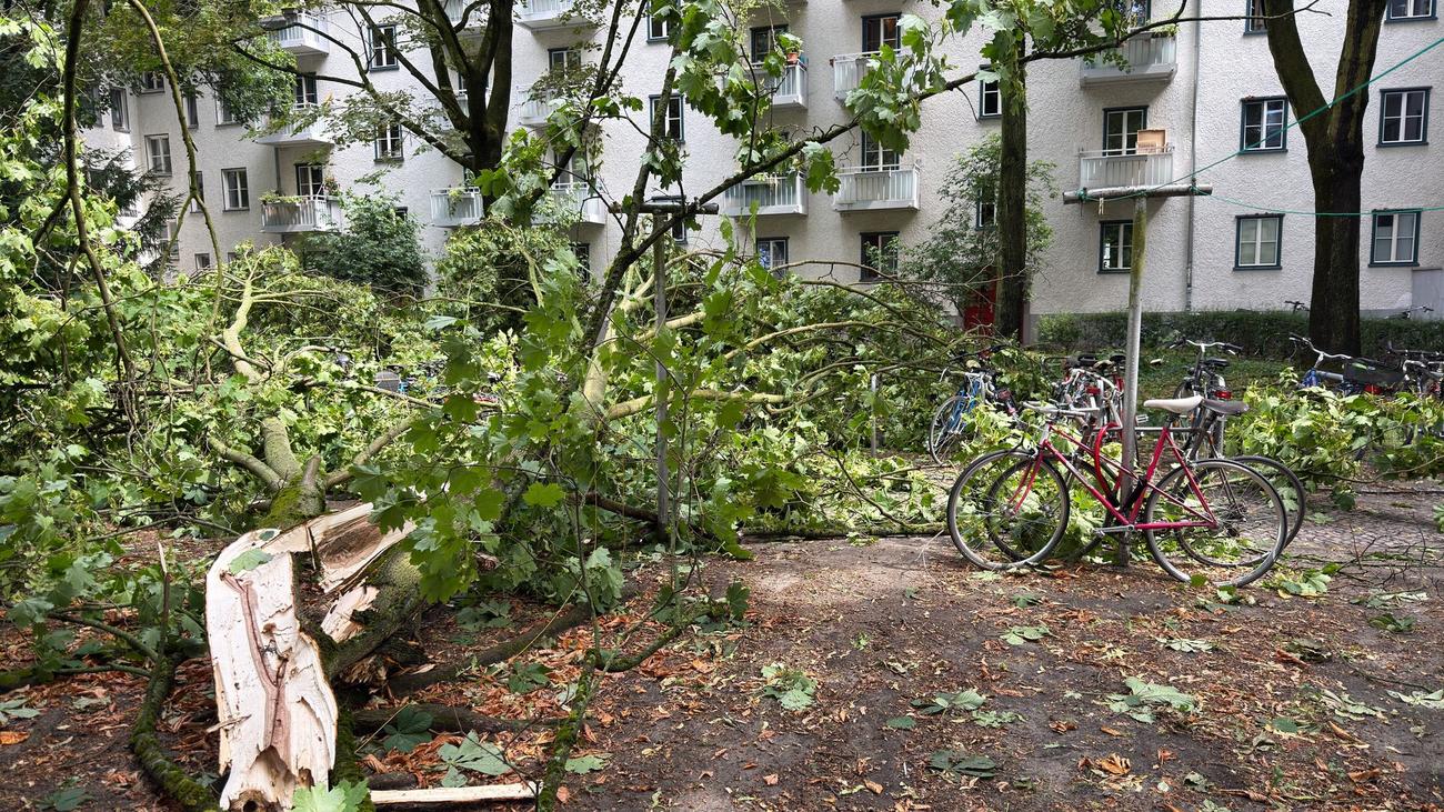 Unwetter: Heftiges Gewitter legt S-Bahnstrecken in Berlin lahm