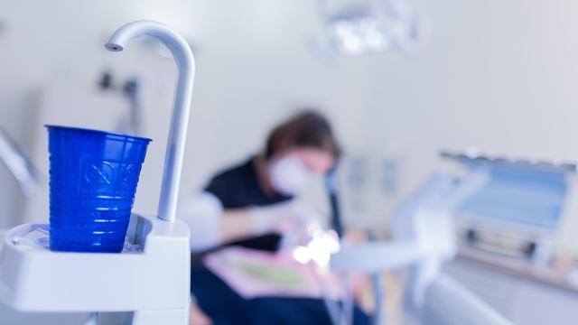 Saxony launches rural dentist quota with eight students starting studies