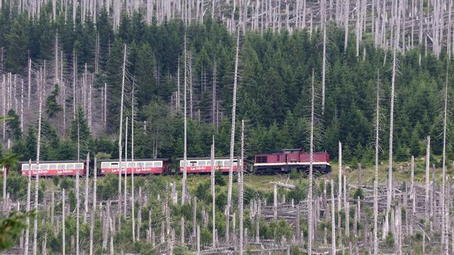 Heatwave: Brocken Railway switches to diesel instead of steam due to fire risk