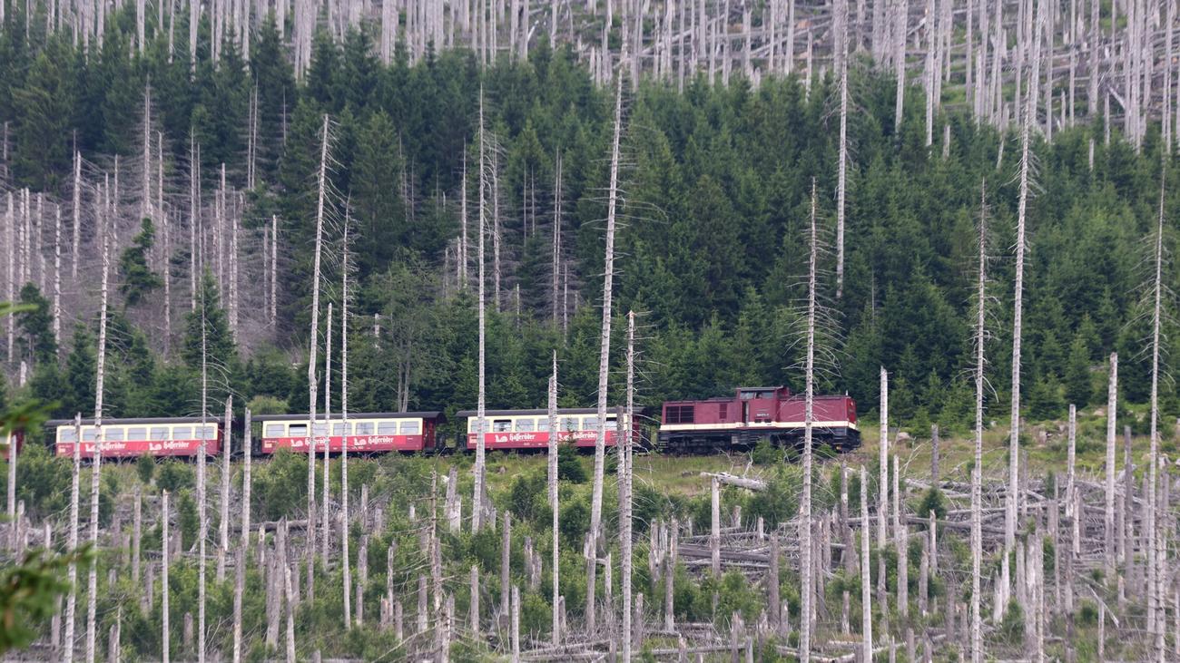 Hitzewelle: Brockenbahn setzt wegen Hitze auf Diesel statt Dampf