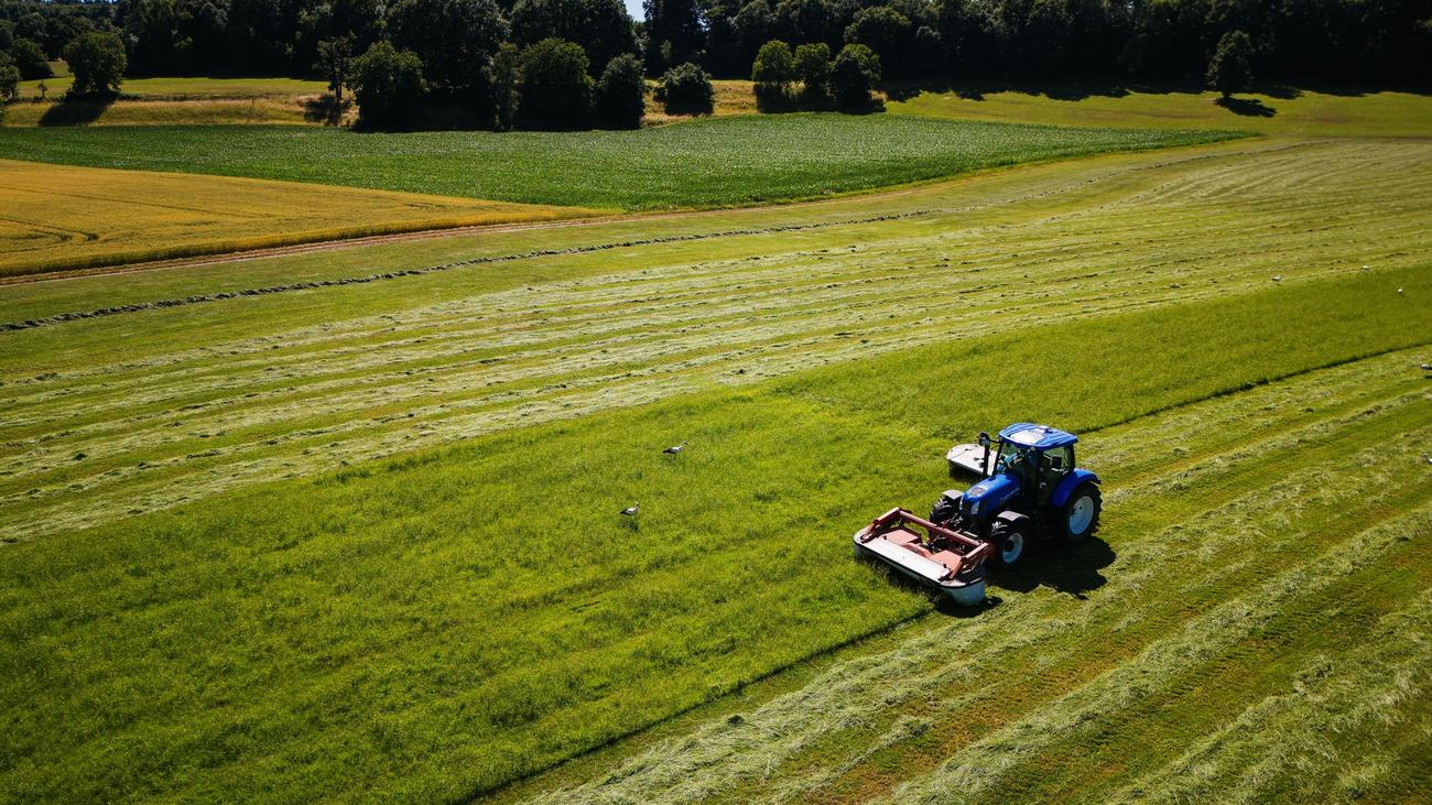Lebensmittel: Bauerntag in Freiburg in kritischer Branchenlage