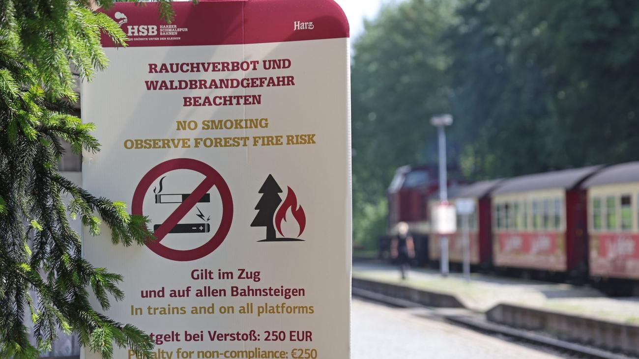 Wetter: Hohe Waldbrandgefahr in weiten Teilen Sachsen-Anhalts