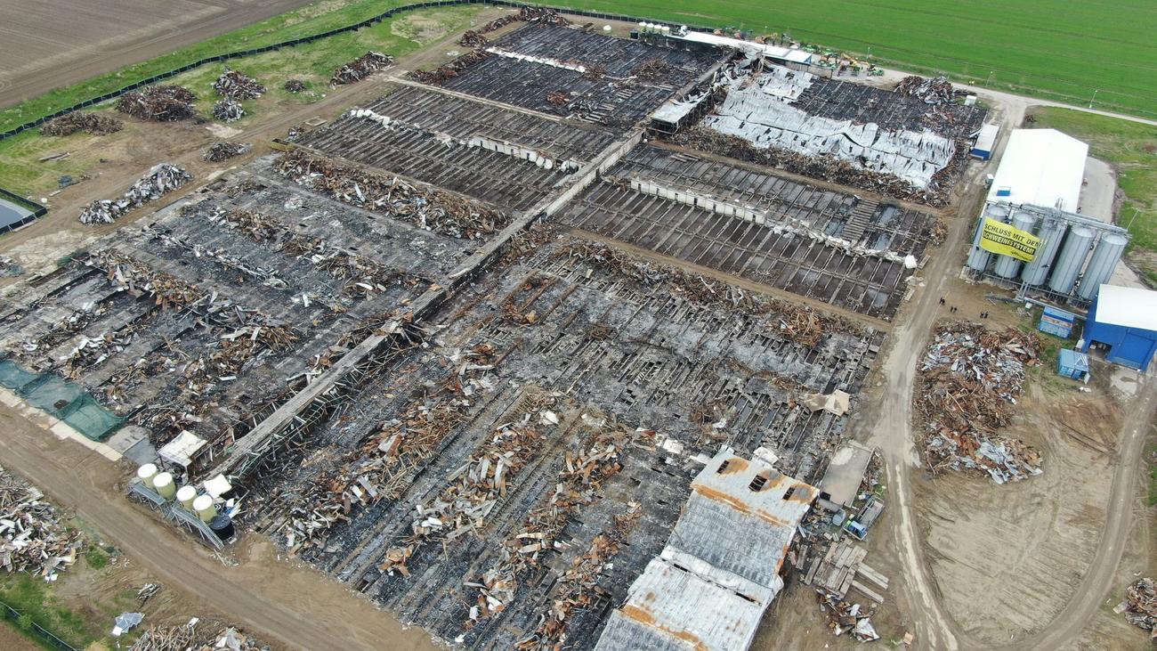 Zehntausende Tiere starben: Nach Großbrand: Aus für Schweinezucht in Alt Tellin